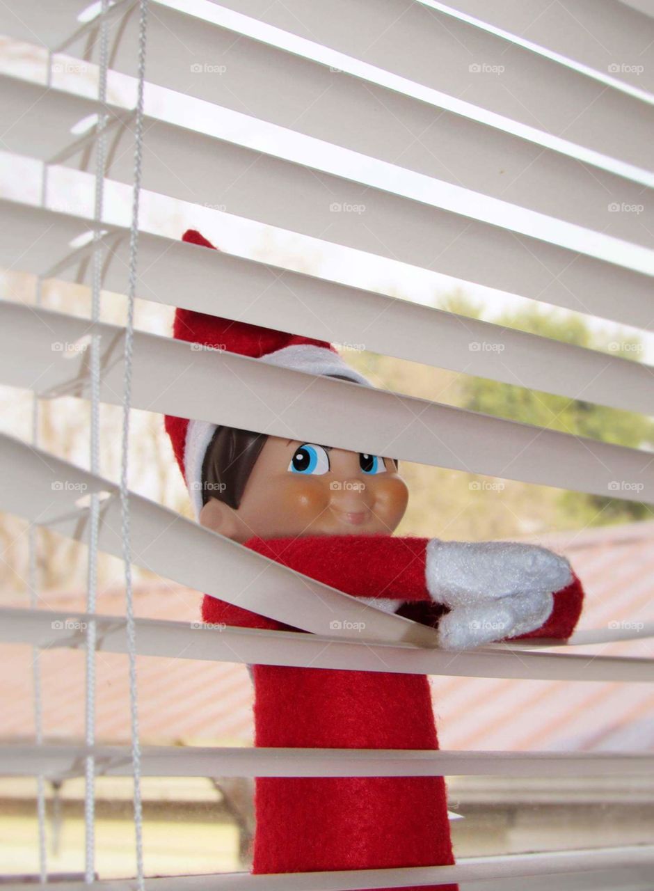 Elf on the Shelf