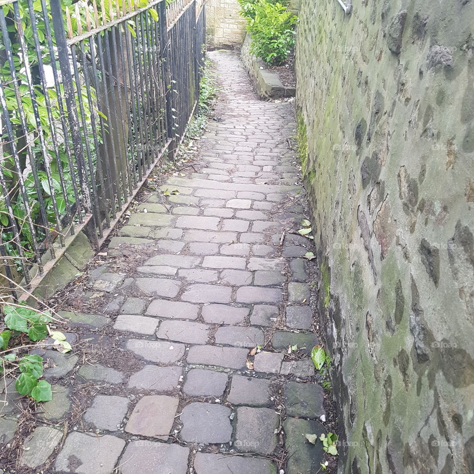 cobbled alleys in lancaster old buildings railings moss leaves