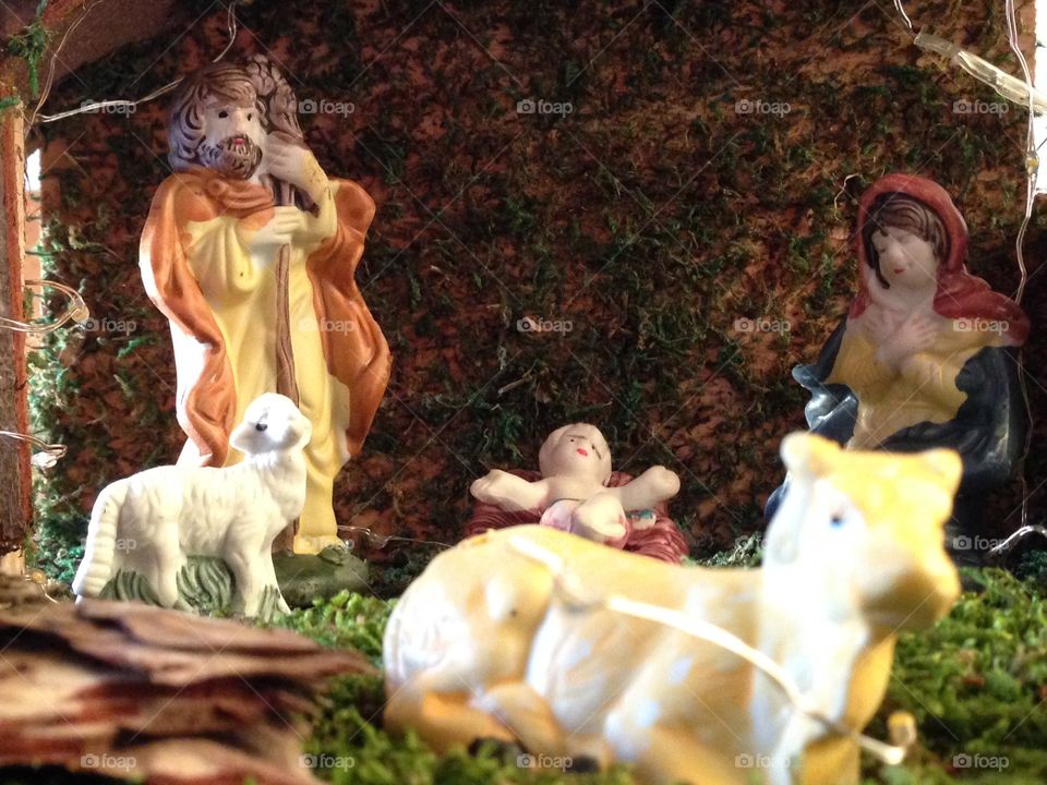 Baby Jesus in his little crib in between the animals