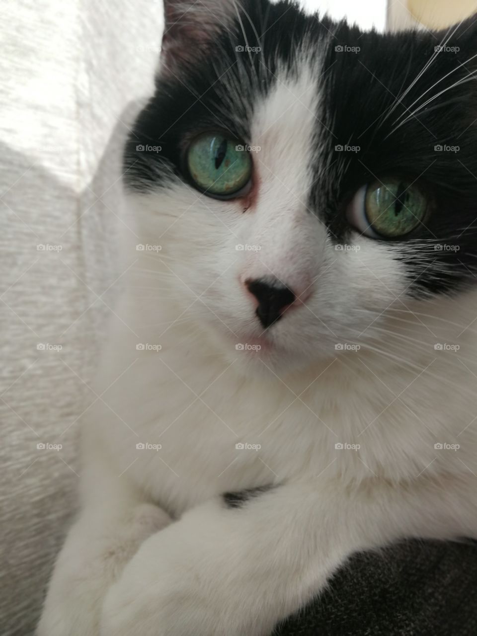 Really? You really want to do that