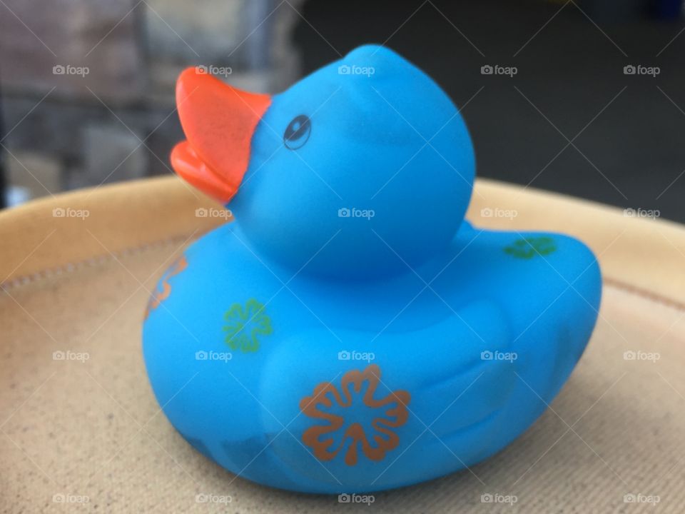 Blue rubber ducky