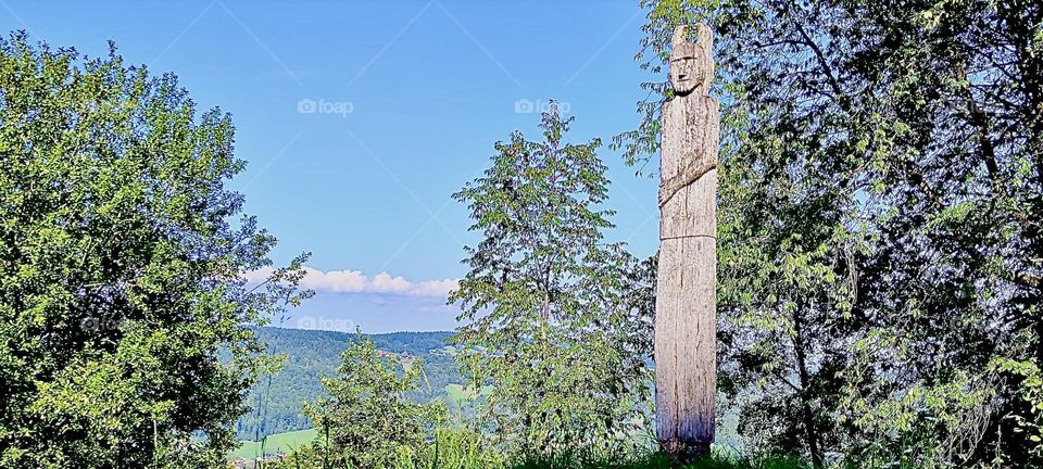 This is the clearance by the „Keltendorf Gabreta“, a newly built village in the Celtic tradition using traditional materials and outfitted with antique pottery. It is located near the township of „Ringelai“ in „Bavaria“. 2023. Hypnotic Productions