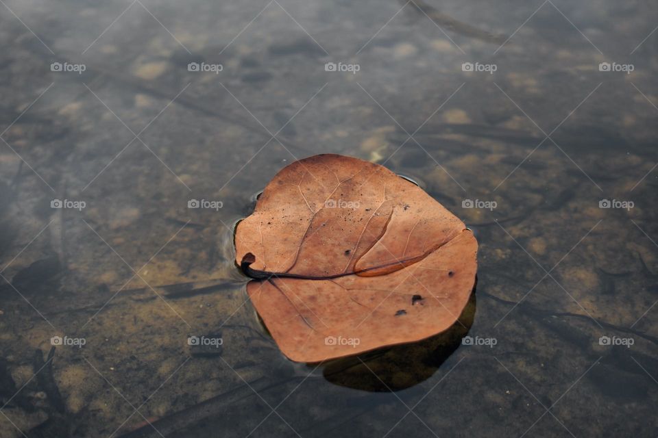 Serenity in the deepest of places 