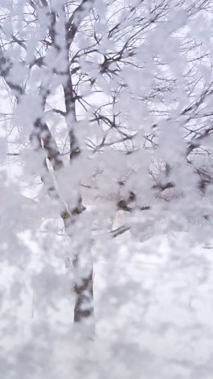 An icy window in New England