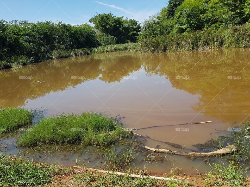 Rio with the name of Rio das Cobras. Calm place for rest.