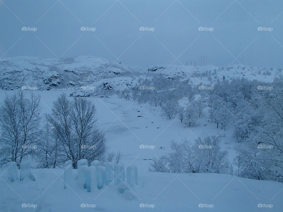Winter, Snow, Cold, Weather, Landscape