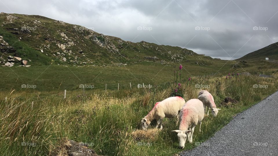 Connemara, my dream - Ireland 2018
