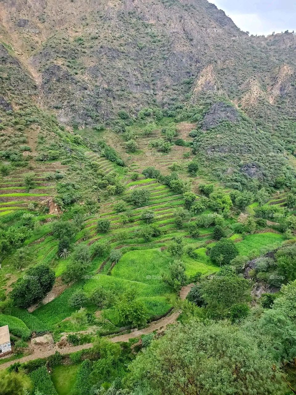 Glory be to God, the magnificent and picturesque view and the natural green trees are a view that is nothing more wonderful than it