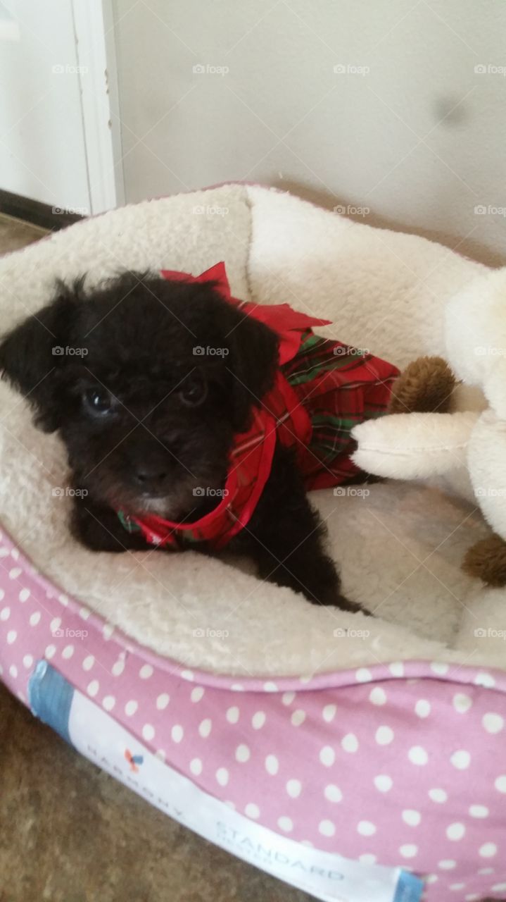 All dressed up and nowhere to go.