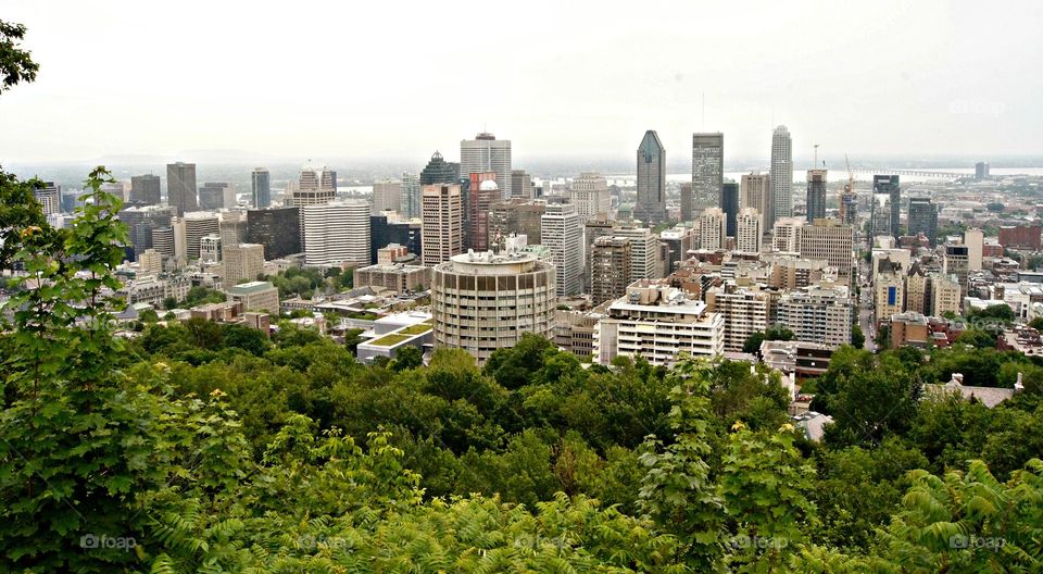 View of a montreal city