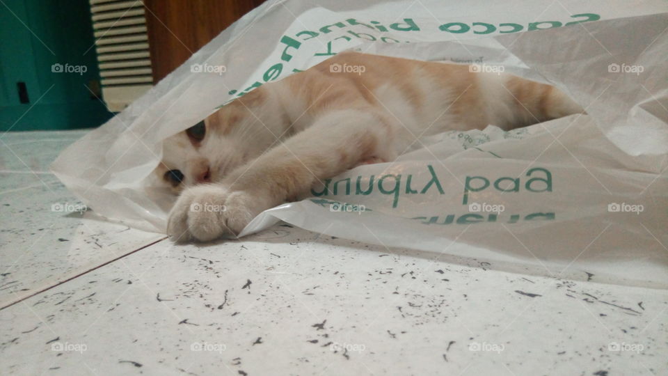 hiding in the laundry bag