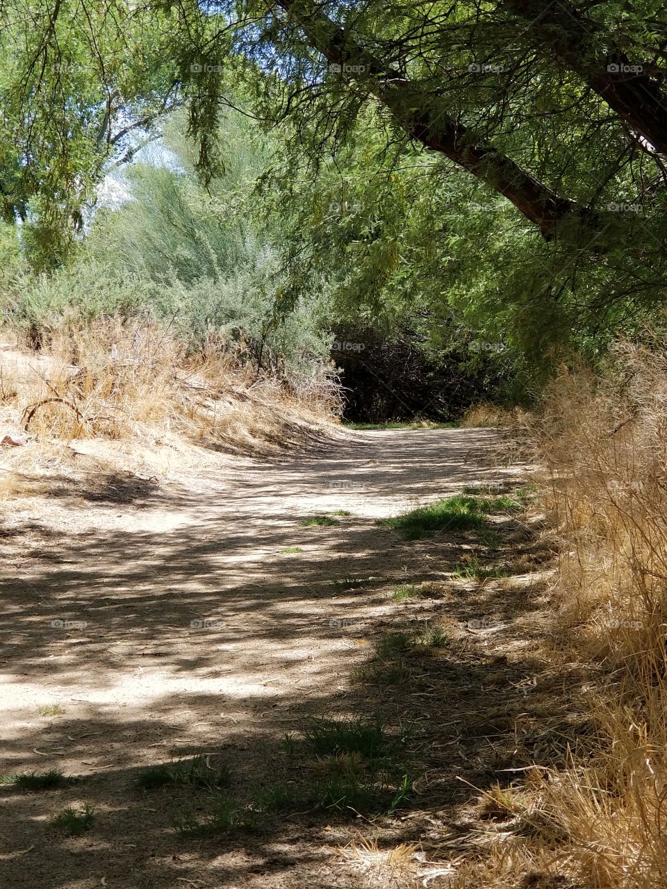 what's around that bend in the path?