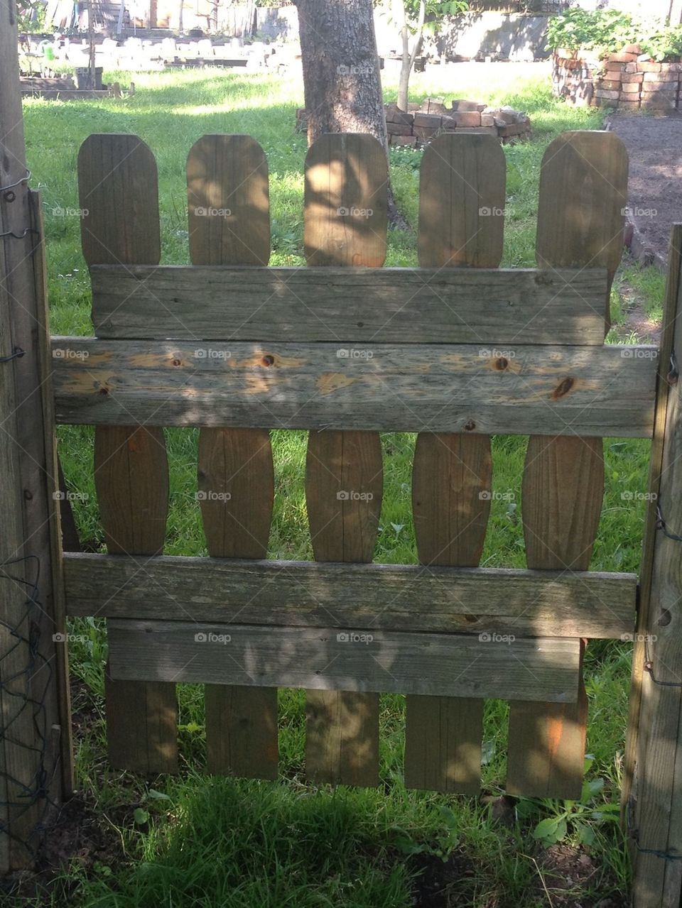 garden nature sun land by katrink