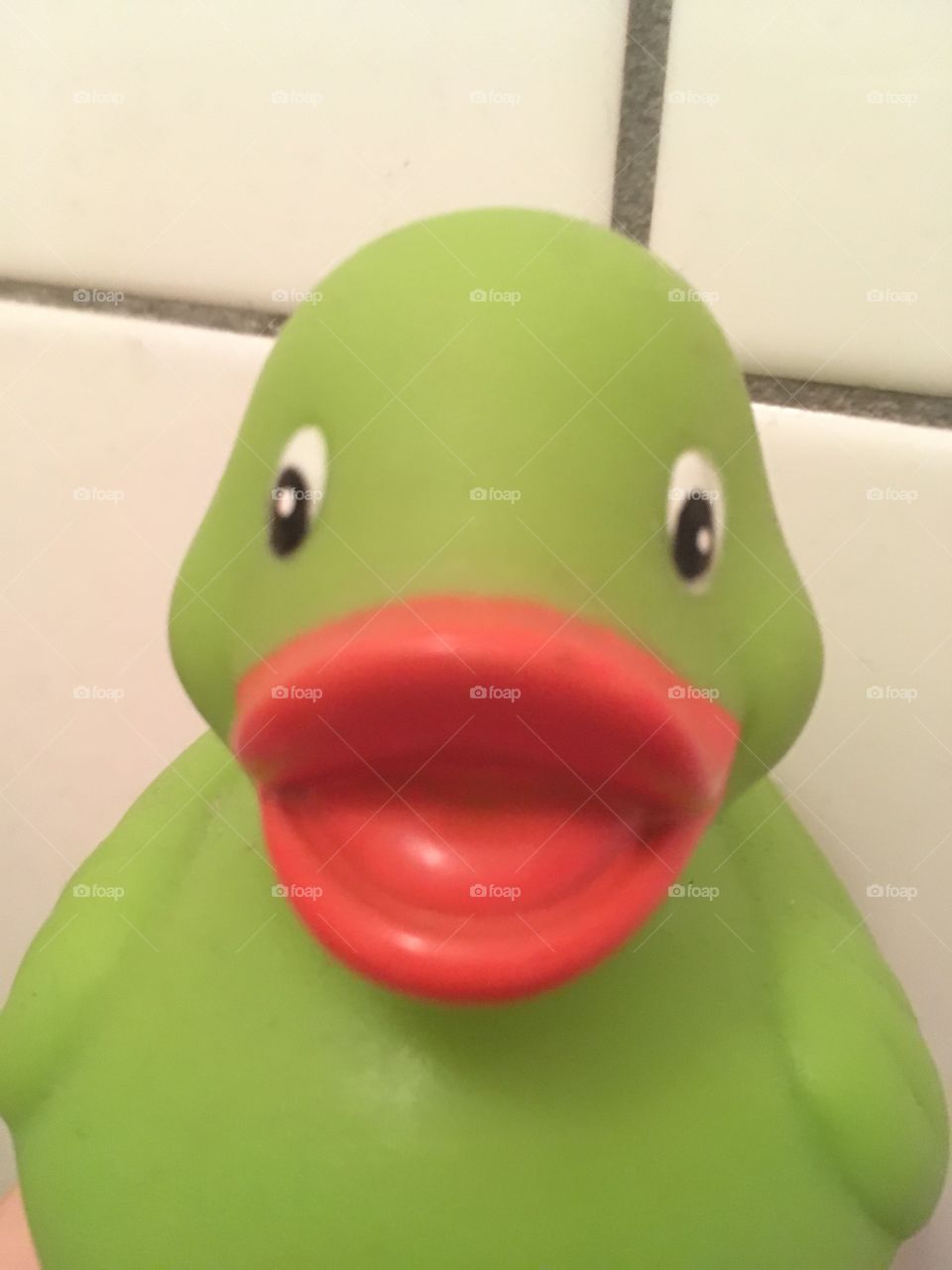 Green duck