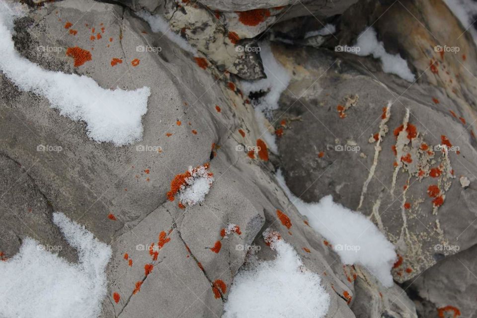 Rock, snow, and some rust spots add a beautiful contrast in this image.