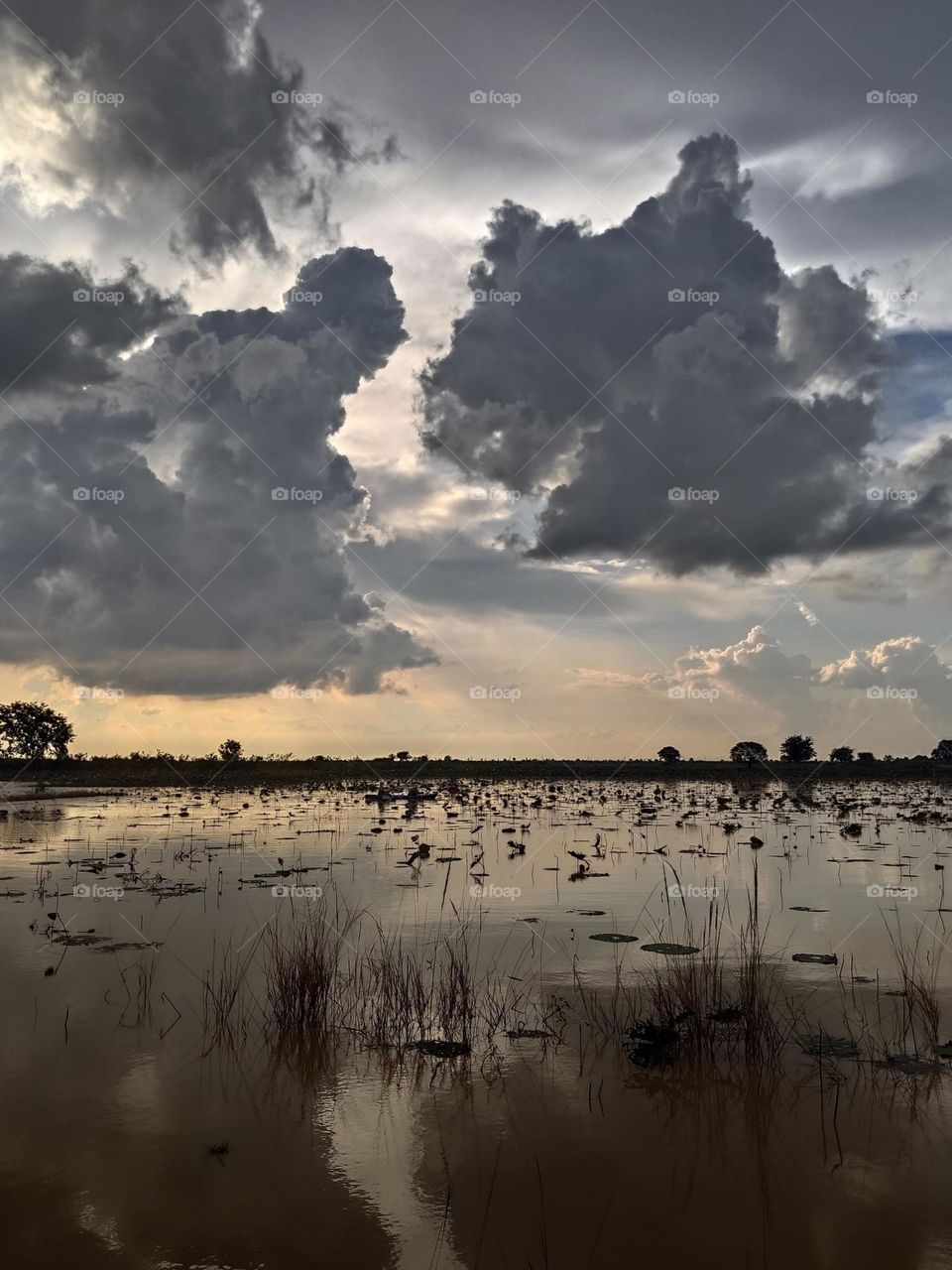 clouds and sunray over lotus pond at Prey Veng Kandal Province Cambodia