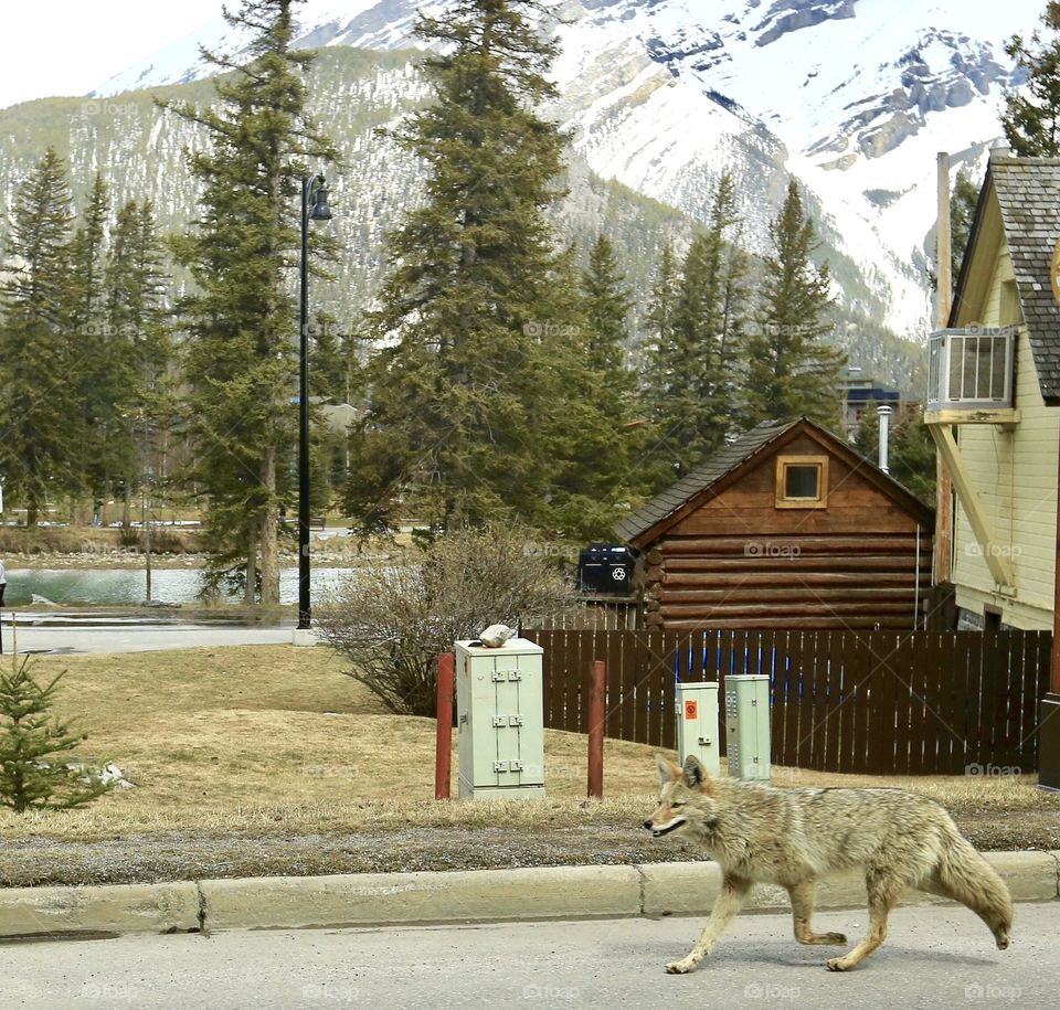 A stroll through town ...