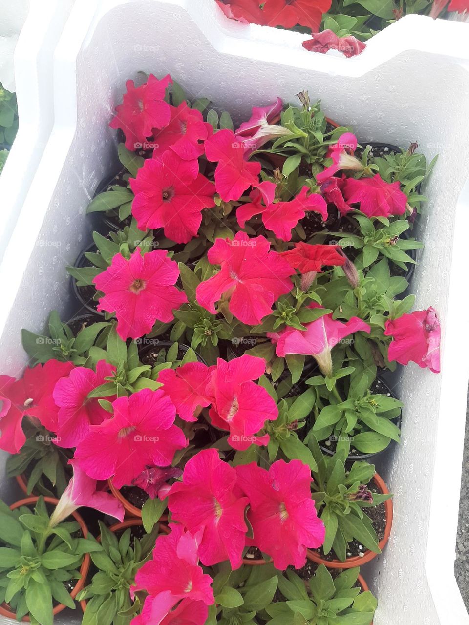 Please make me happy, I am poor, I need your help with support