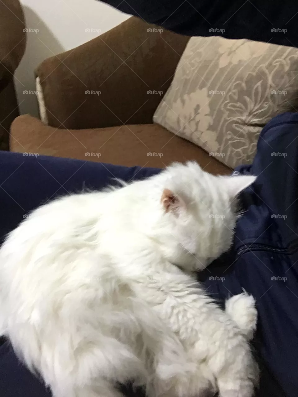 sleep