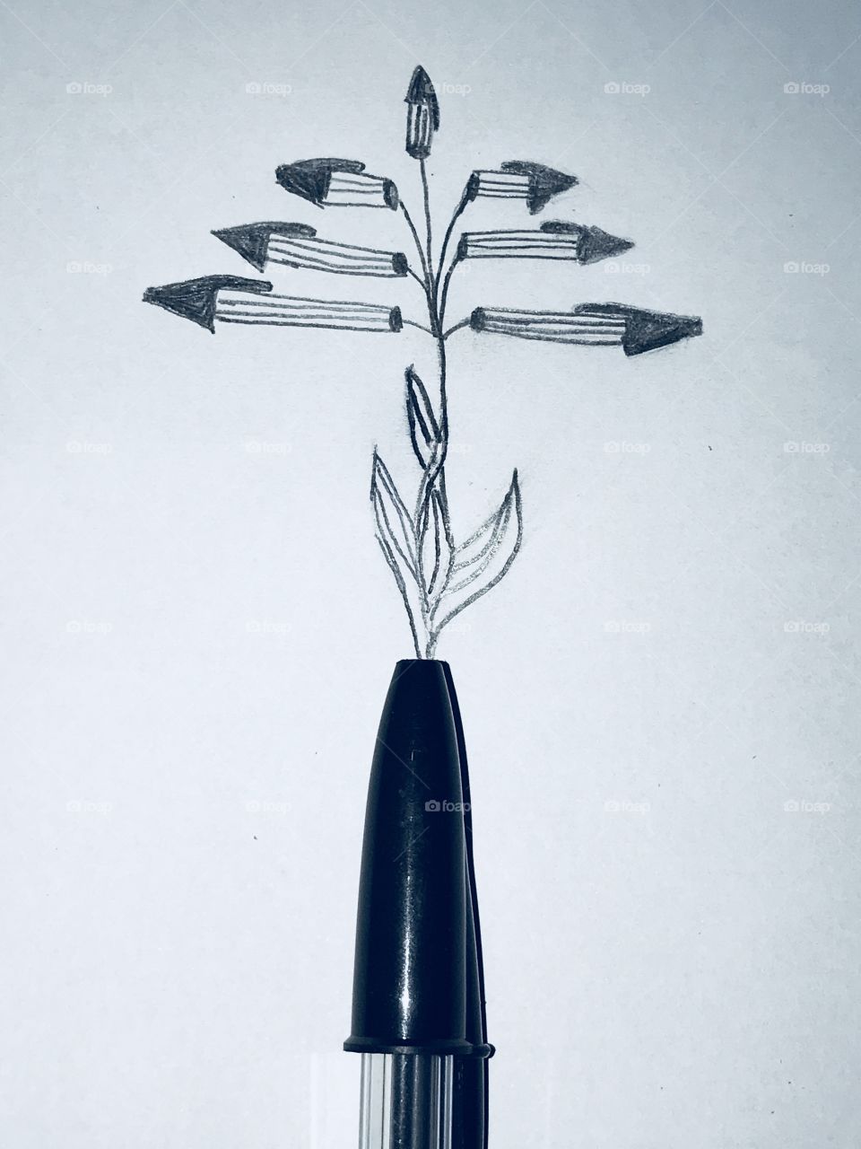 Pen Plant
