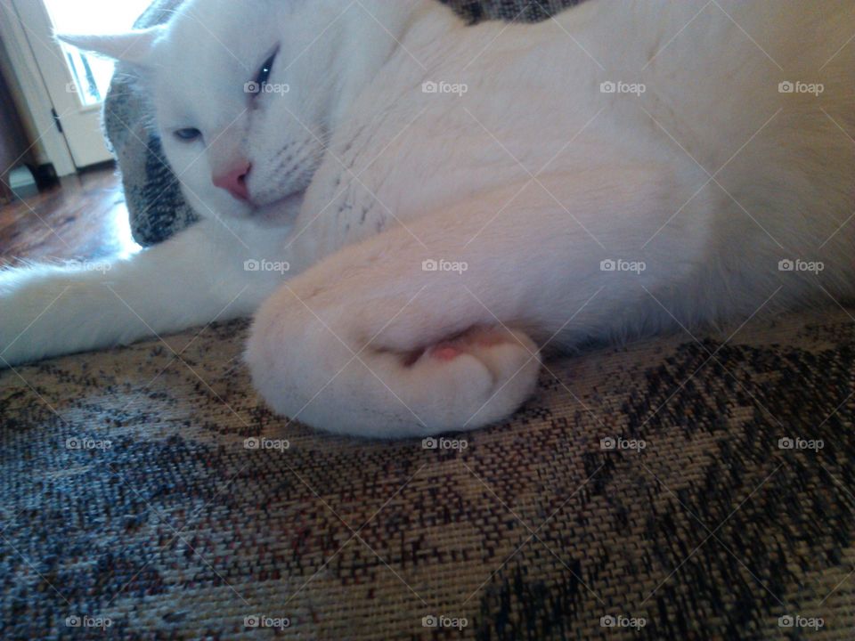 how do they do this??? 