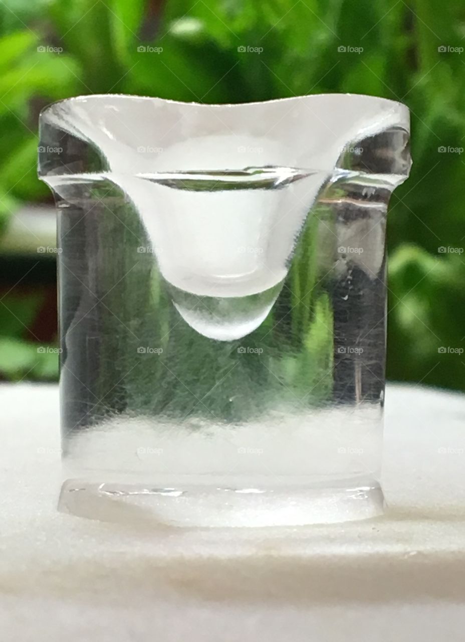 Glass, Drink, No Person, Leaf, Summer