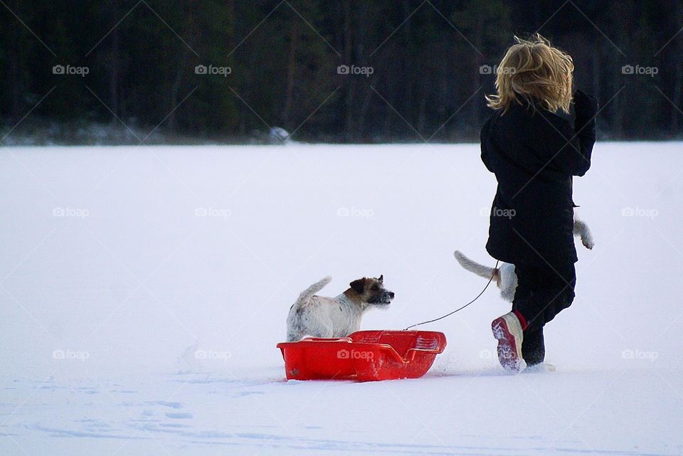 A kid playing with sledge in winter
