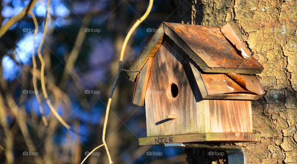 Bird House