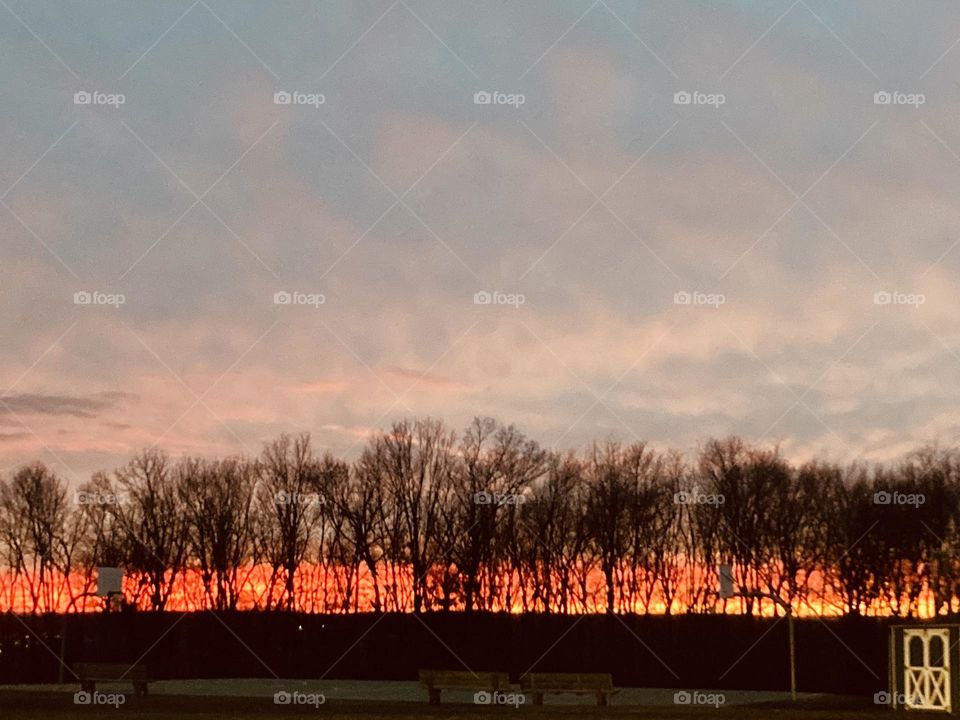 Fall sunset behind the trees 