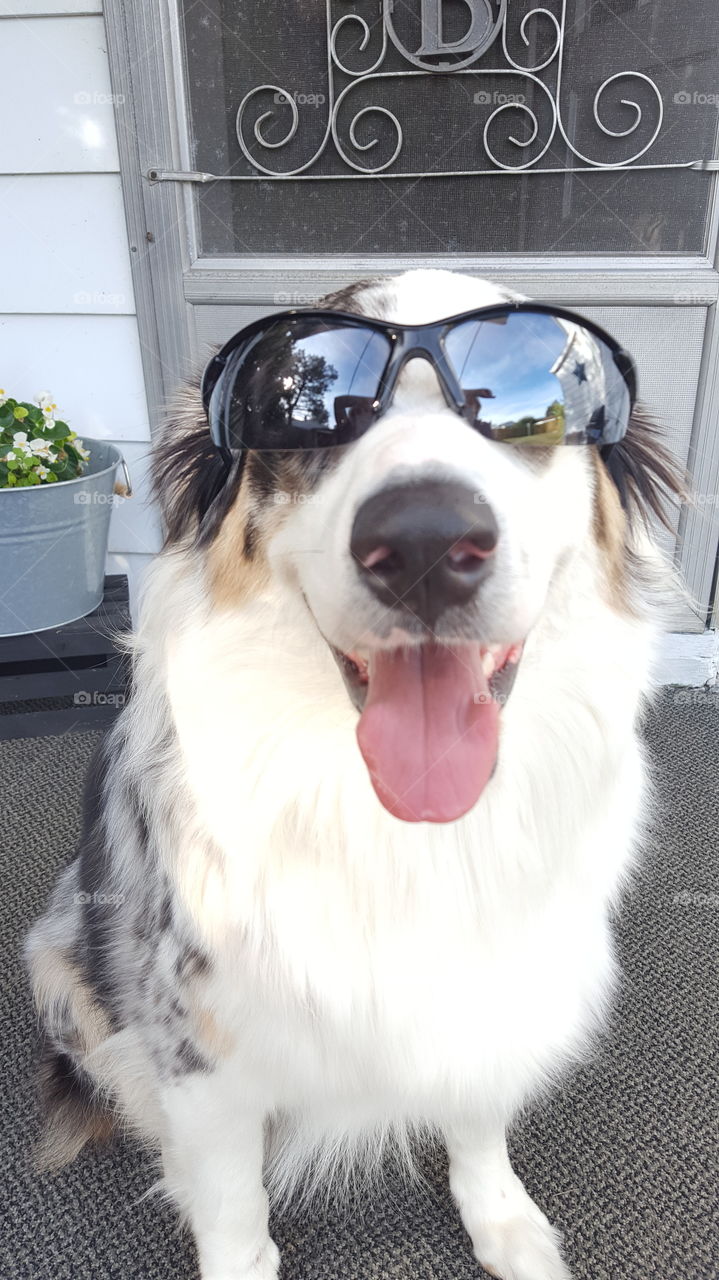 Mcgee wearing his sunglasses