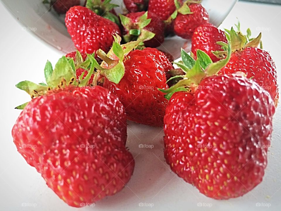 Colourful berries