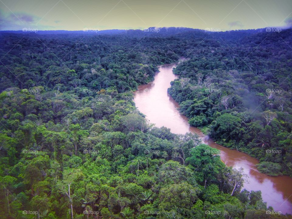 selva rio