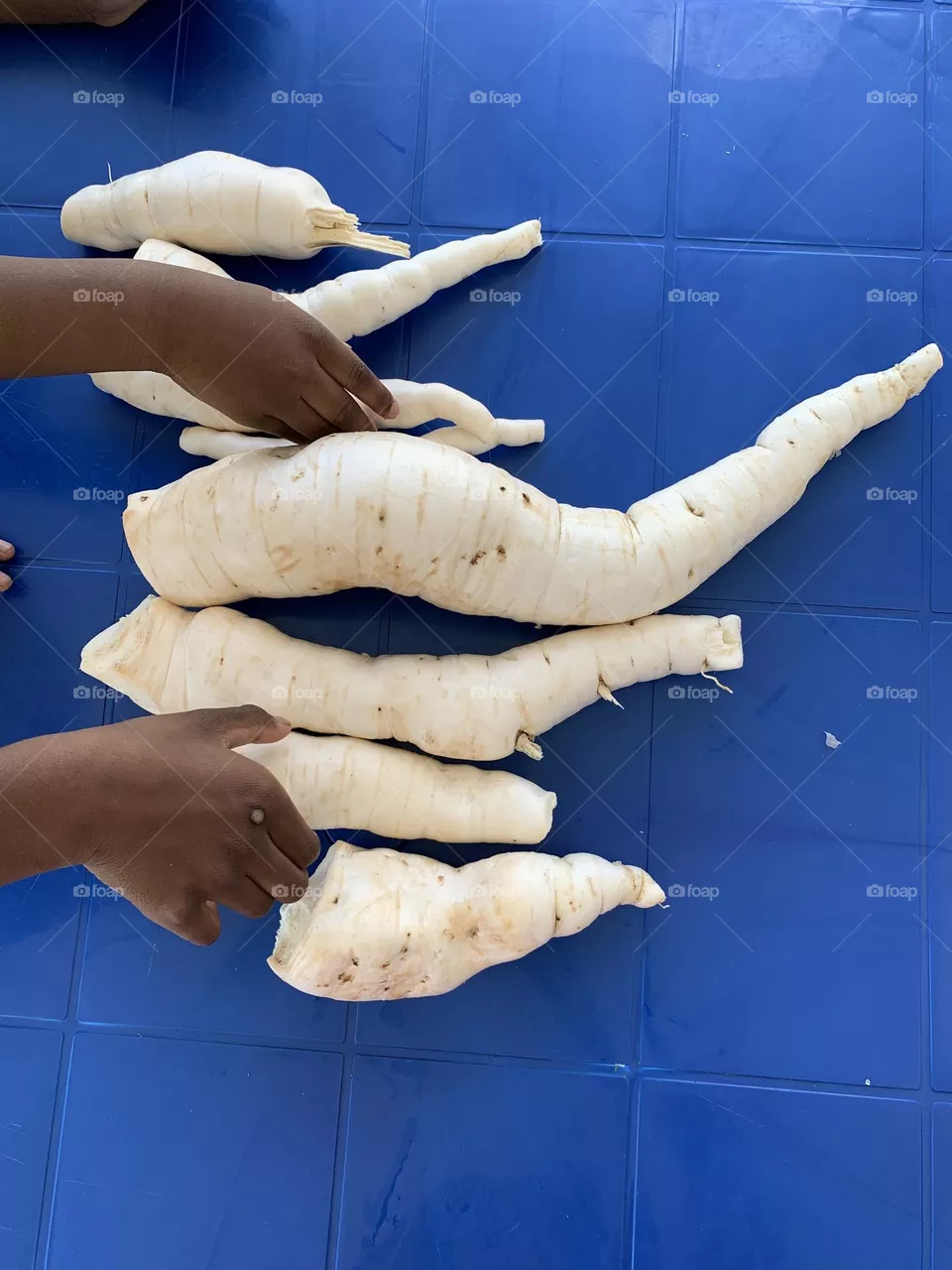 Grand kids feeling the cassava 