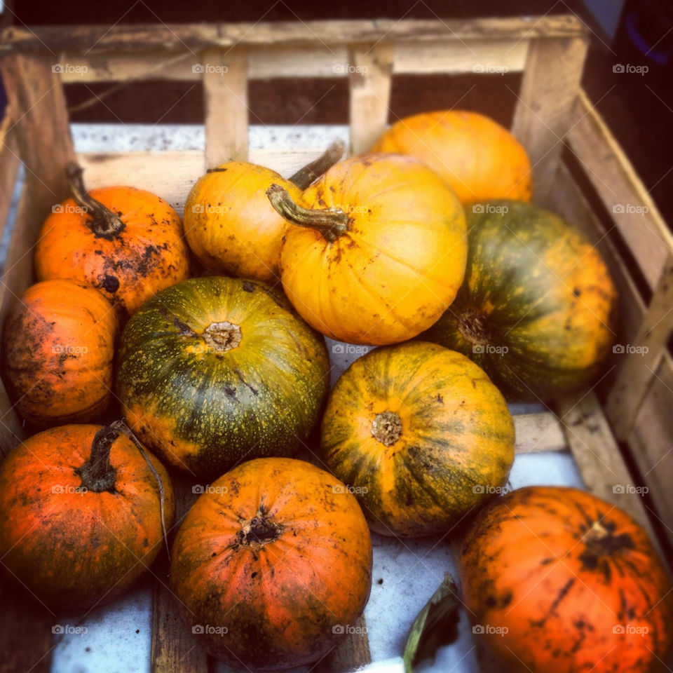 fall autumn pumpkin vegetable by moosyphoto