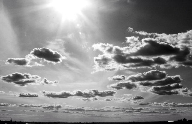 city white black summer by javidog