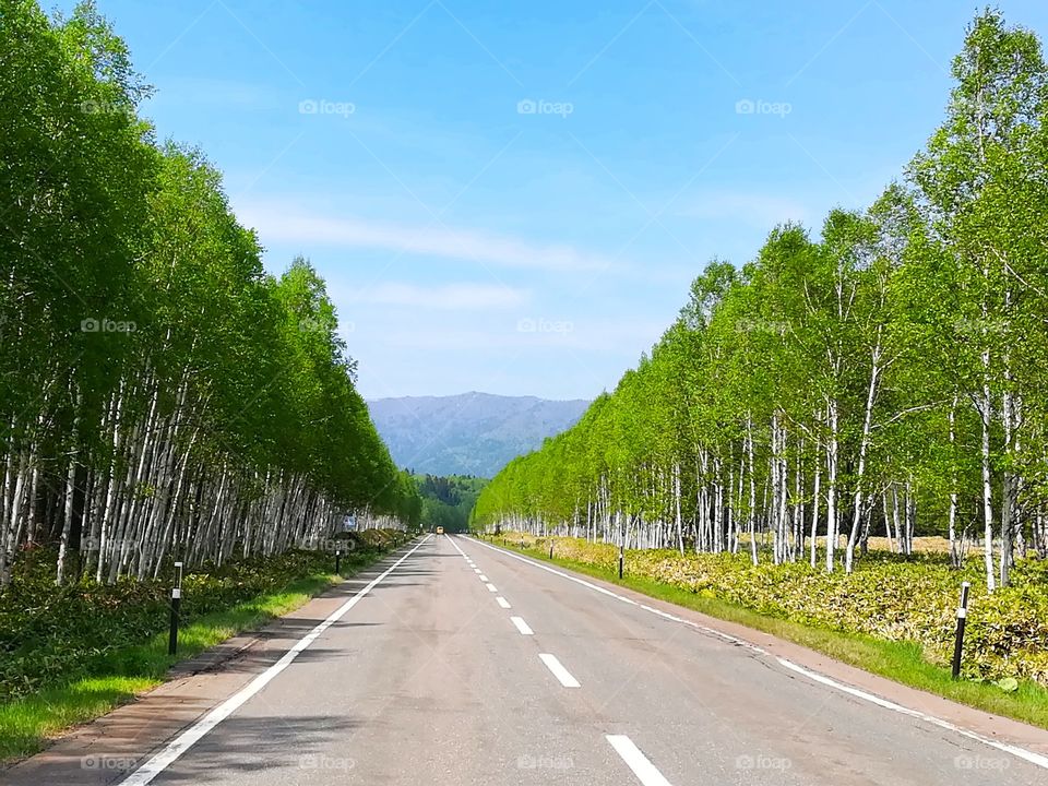 country road in Hokkaido japan