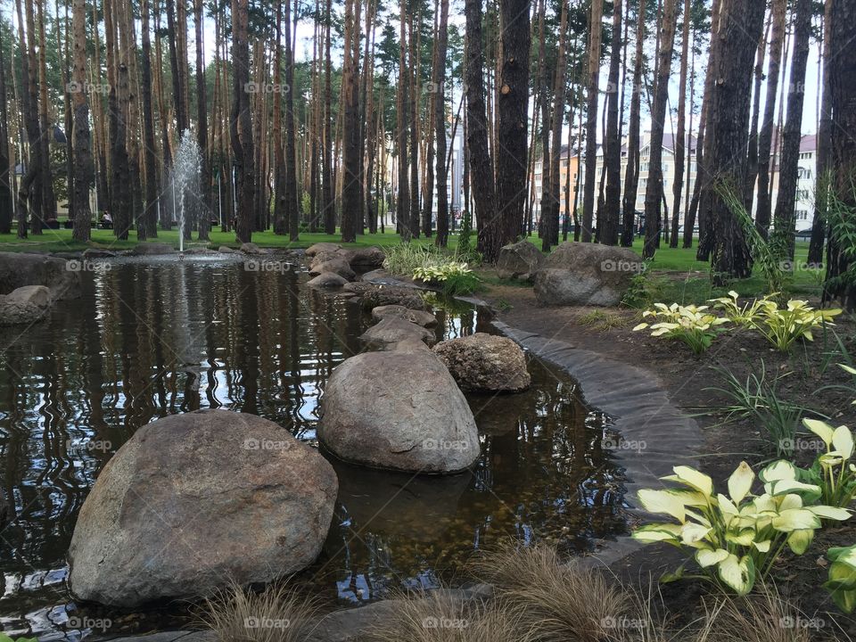 Pond with water font in the park