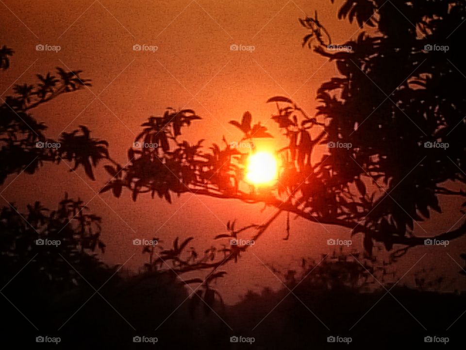 nature's beauty ( sunset)