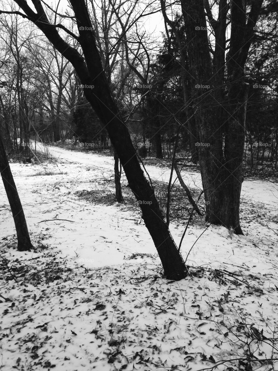 Snow in 
black&white