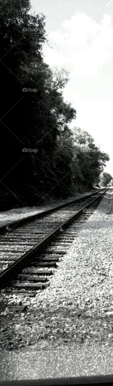 Railroad tracks