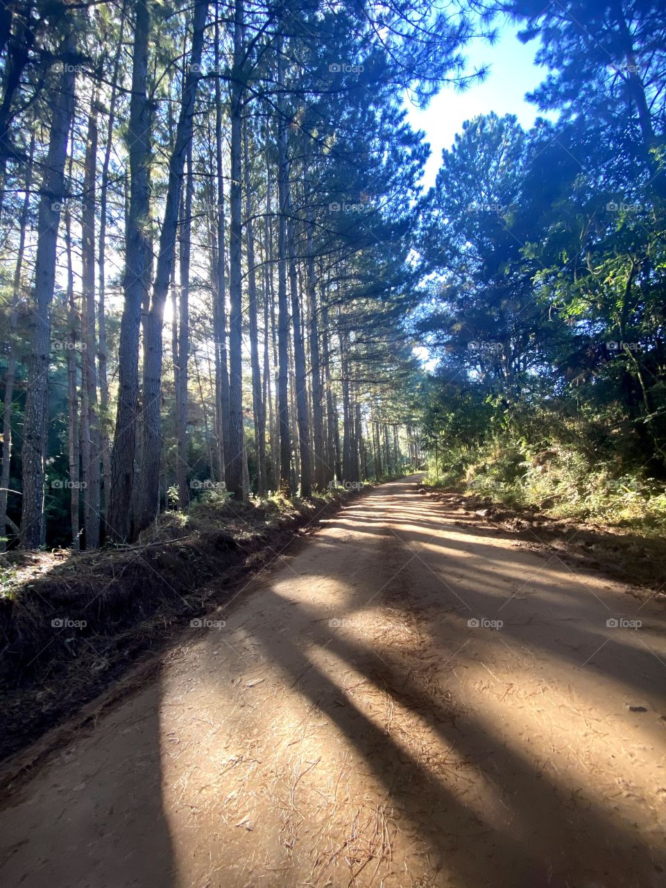 Paths that transmit peace.