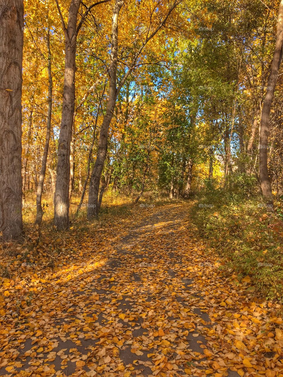 Beautiful autumn day! 