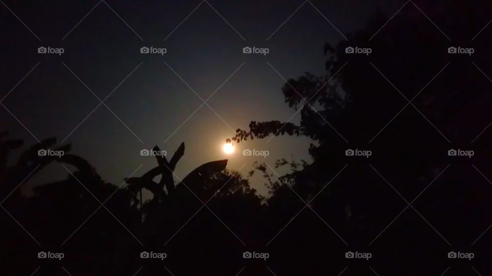 Moonlight