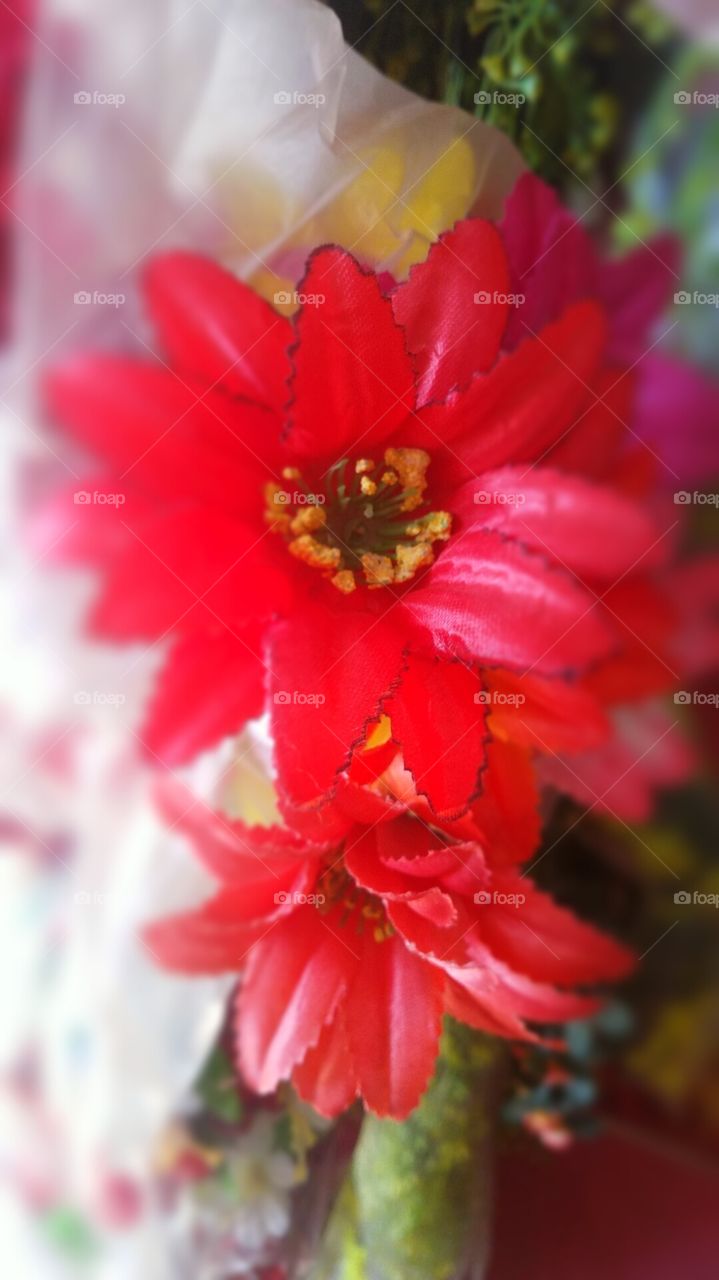 red flowers