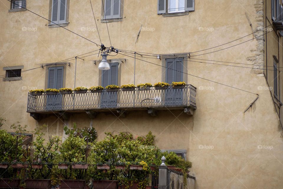 A beautiful view of the city walls decorated with green plants and flowers.  Italy May 2023.