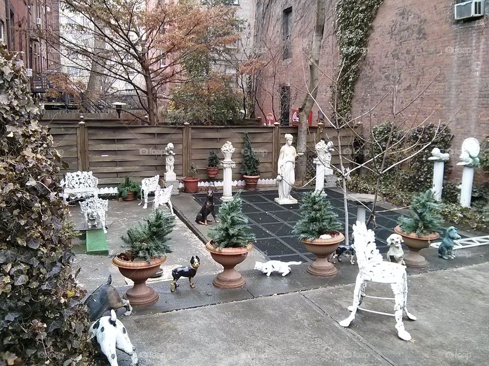 The Garden at Brooklyn Heights