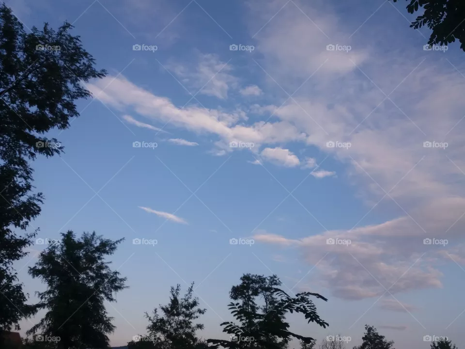 Sky.
