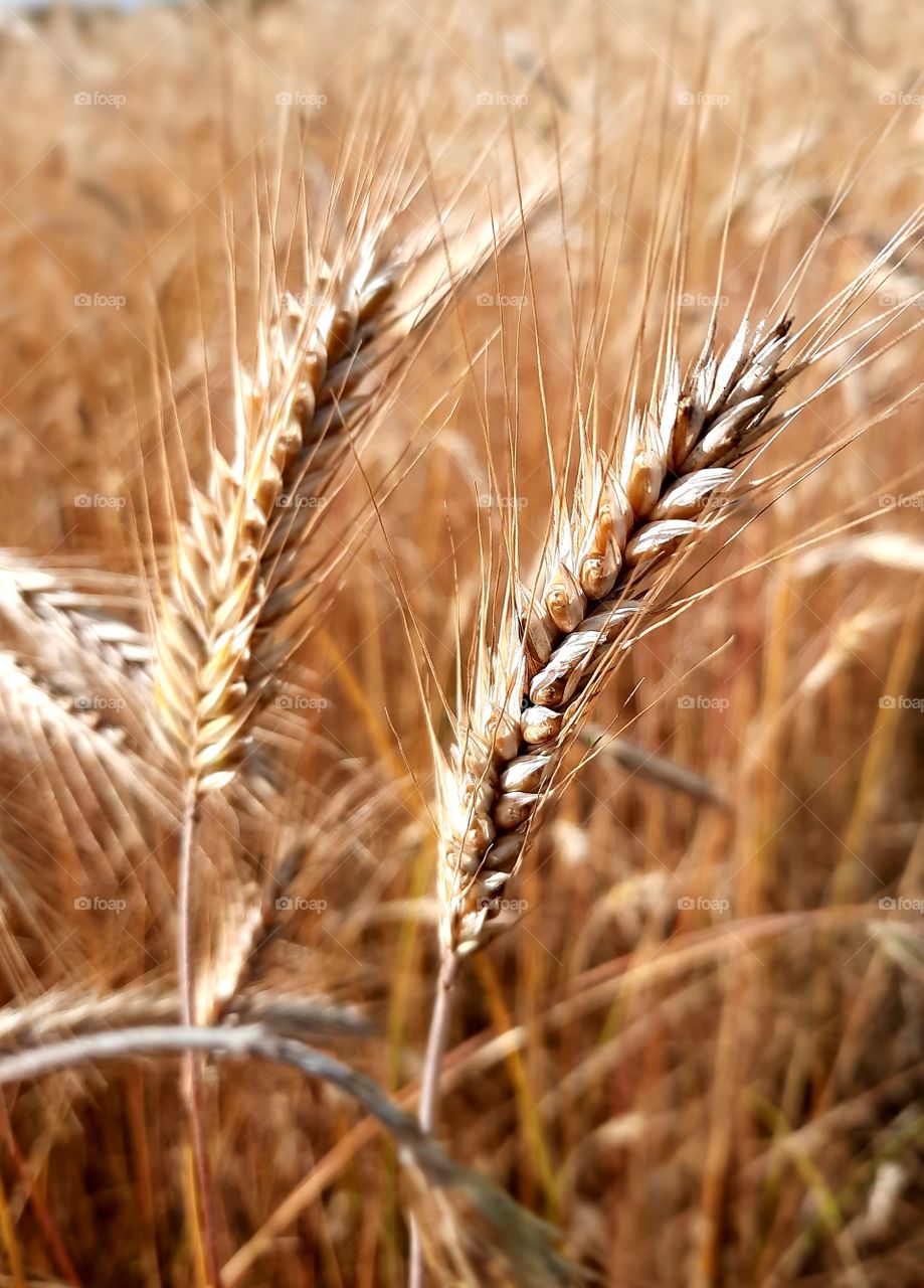 our world is so beautiful we just need to look closer