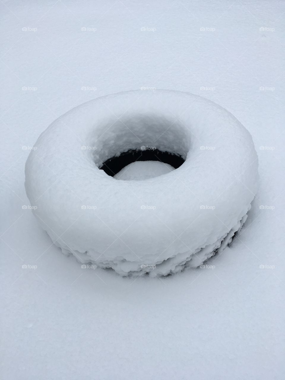 There’s a vanilla-frosted donut in my backyard!