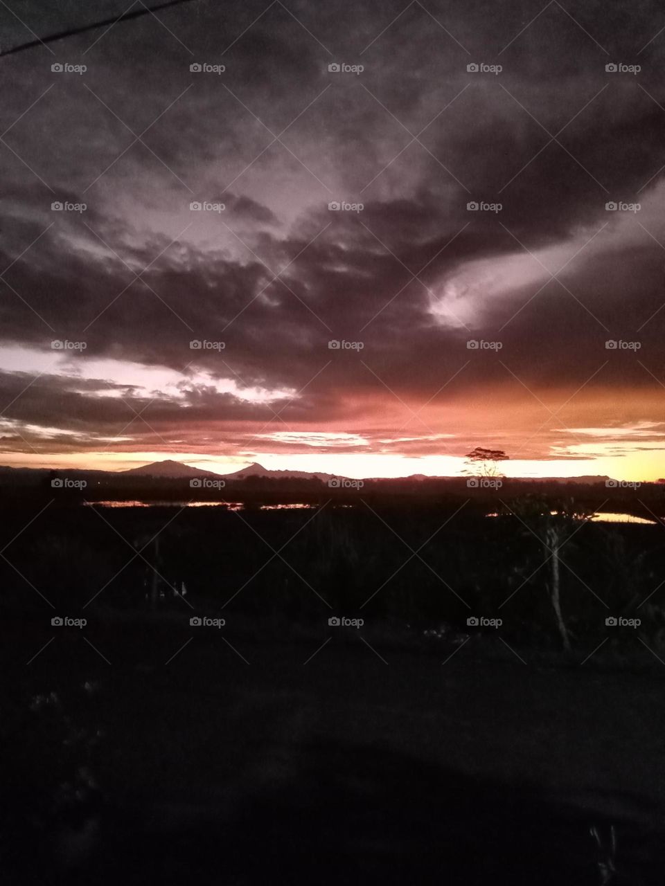 Risefield in the morning